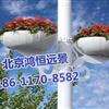 “金凤”灯杆花架成就第十一届中国艺术节靓丽街道景观
