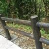 浙江濕地公園水水泥仿樹樁欄桿，比防腐木欄桿，壽命長